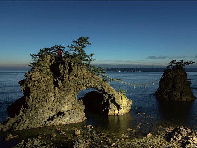 夏季・冬季のライトアップ