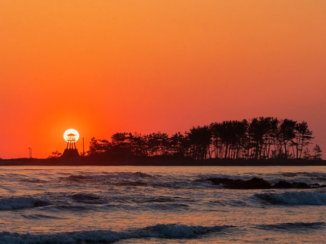 黄金色に染まる海岸