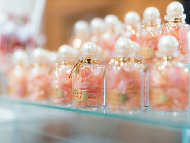 さくら貝のクラフト作品