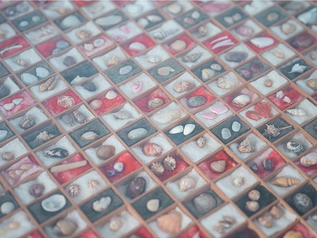 三十六歌仙貝の展示