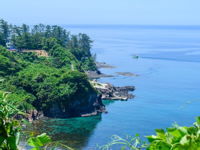 緑に覆われた海岸線