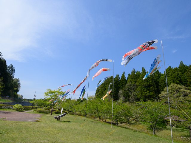 青空に泳ぐこいのぼり