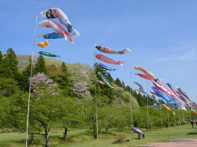 連なるこいのぼり