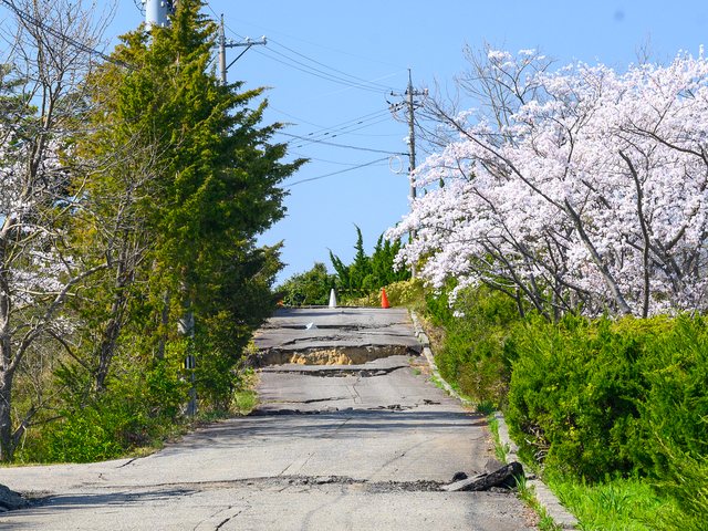 桜が包む坂道