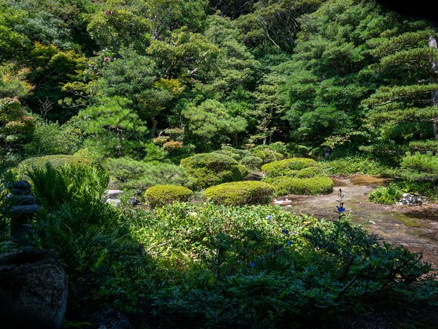 平家_9