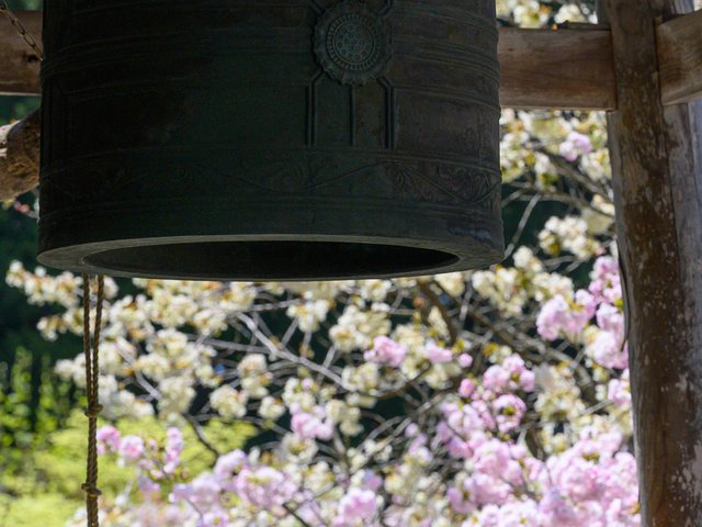 遍行寺_6