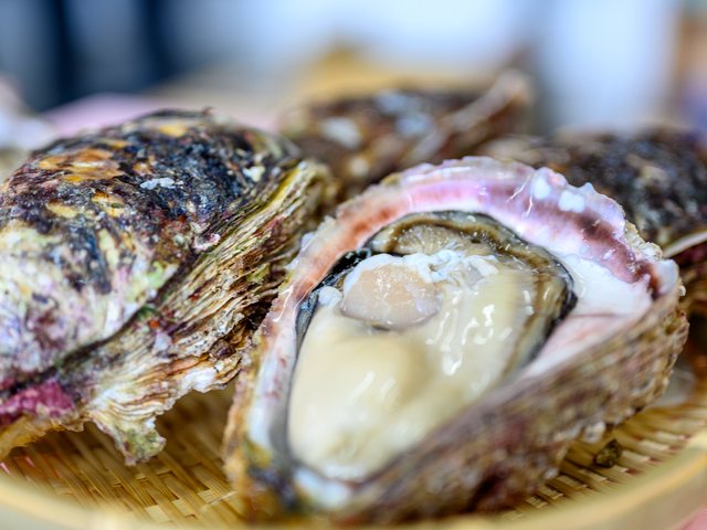 志賀町優良特産品_天然岩かき2