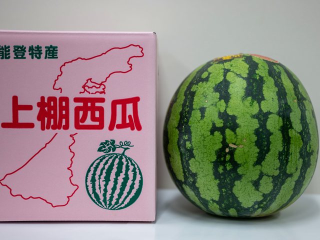 志賀町優良特産品_スイカ金色羅皇3
