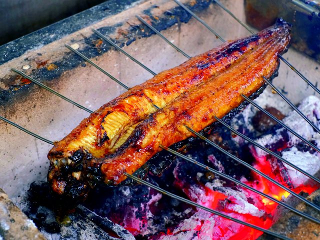 志賀町優良特産品_能登うなぎ蒲焼き