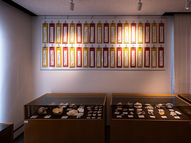 さくら貝資料館_4