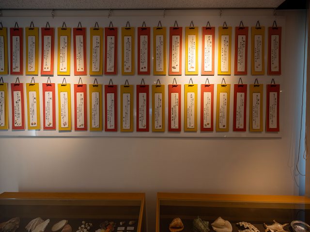 さくら貝資料館_8