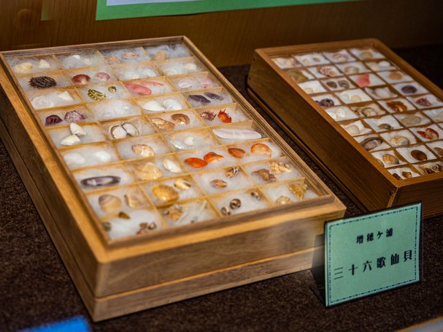 さくら貝資料館_15