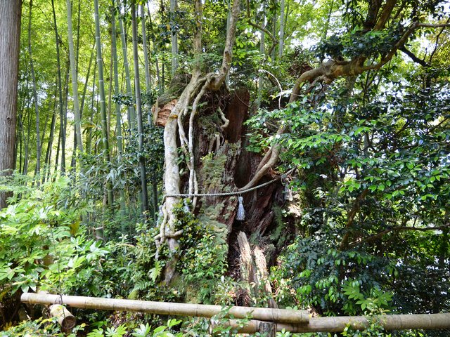 高爪神社_6