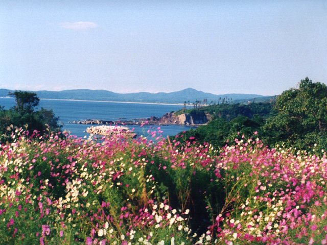 高爪山_8