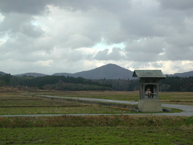 高爪山_9