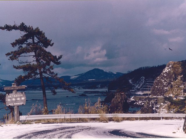 高爪山_10