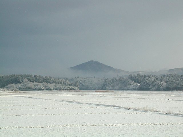 高爪山_11