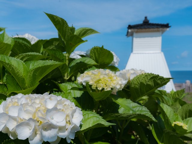 旧福浦灯台_13