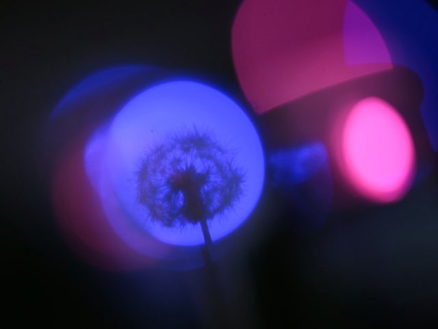 世界一長いベンチ_25