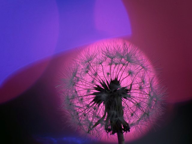 世界一長いベンチ_26