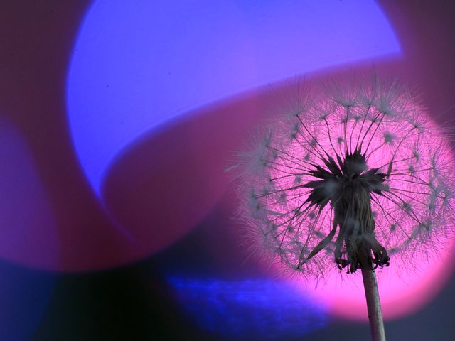 世界一長いベンチ_27