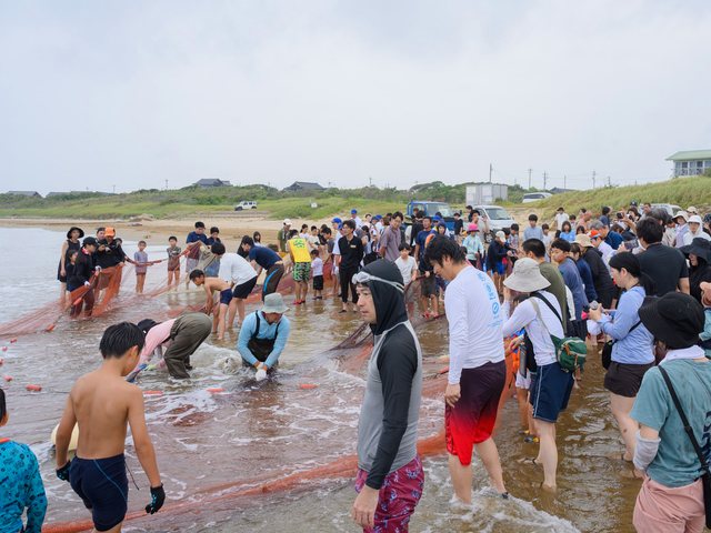 大島地引網_8